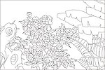 牡丹花