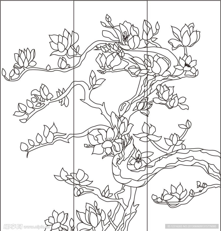 白玉兰