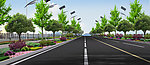 道路 绿化