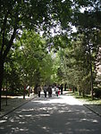 景区