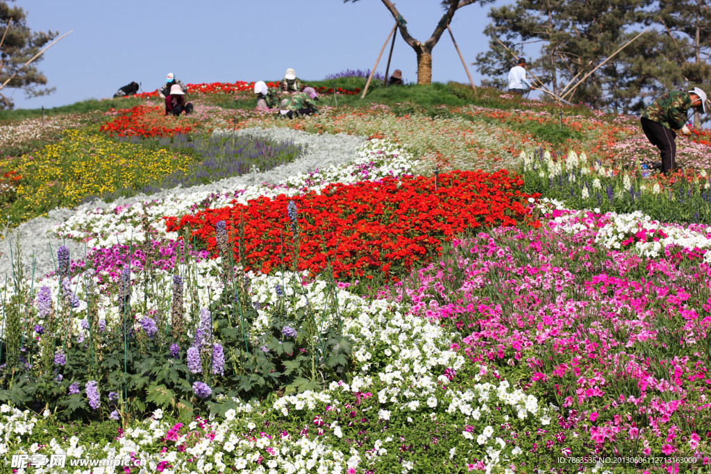 园林花草