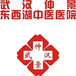 武汉仲景中医院