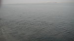 茫茫海面