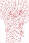芭蕉图