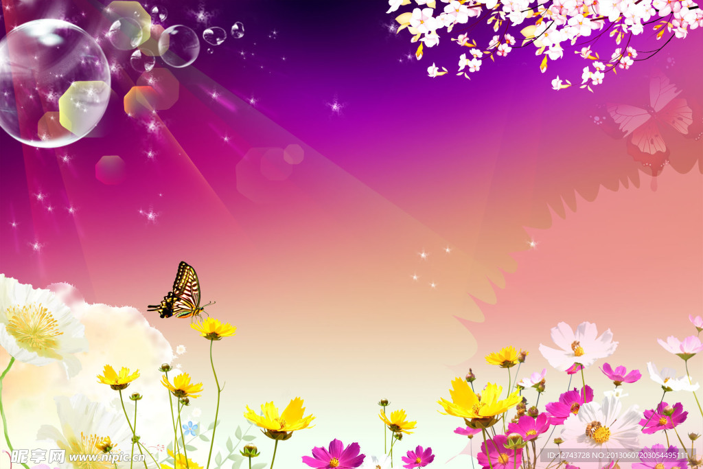 花朵风景