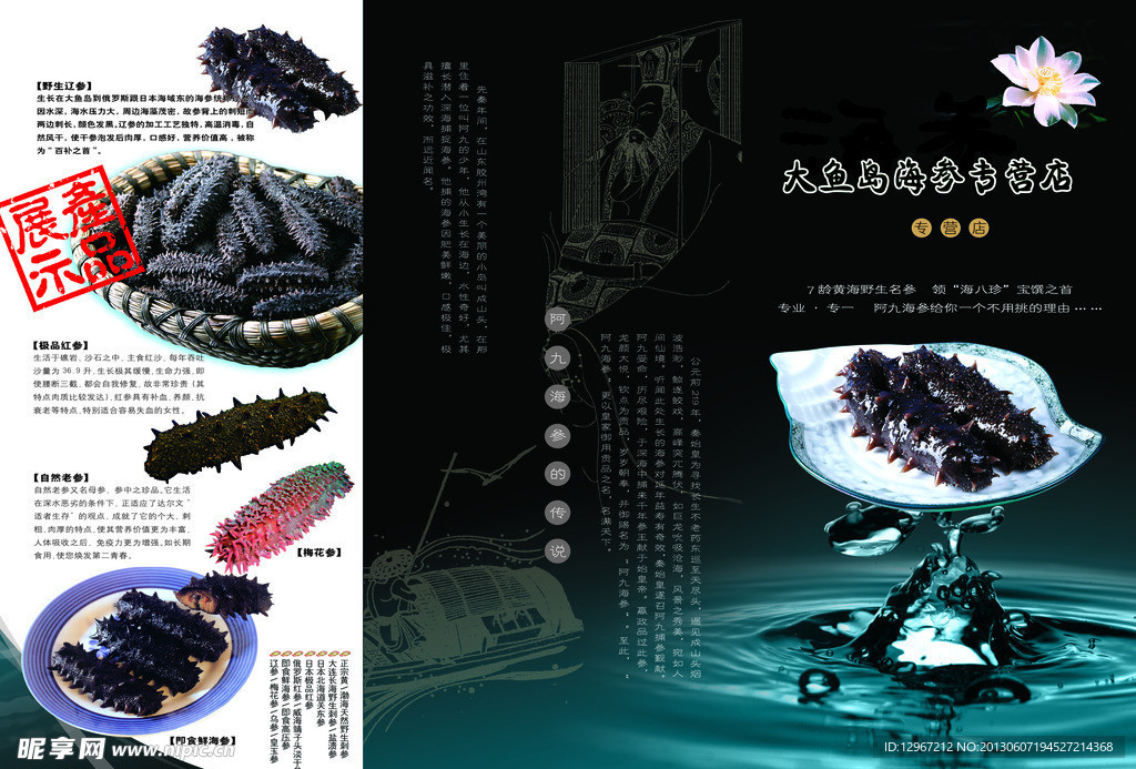 海参宣传彩页