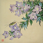 野趣