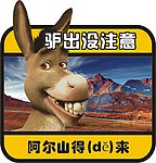 驴出没注意