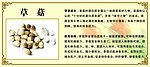 草菇