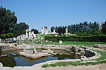 夏天的北京圆明园