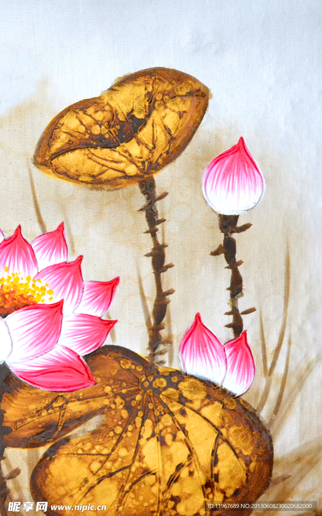 荷花