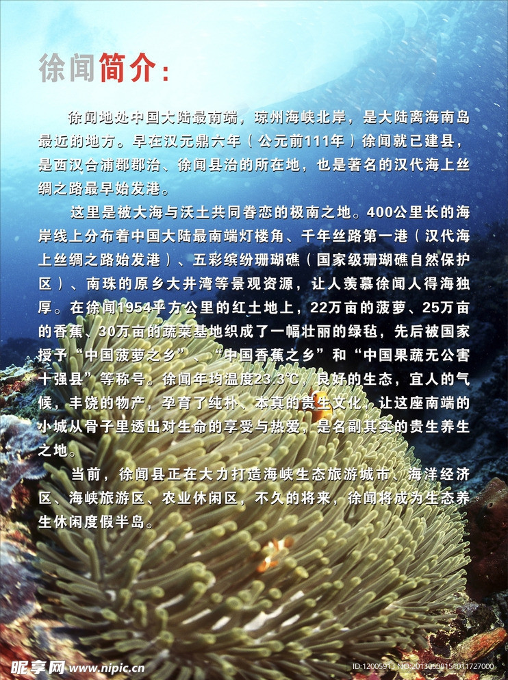 徐闻简介