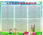 小学生体育达标成绩标