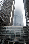 金茂大厦