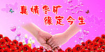真情枣矿 缘定今生