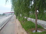 河边