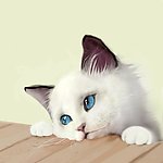 猫咪