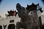 草原飞狼