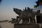 狼图腾