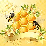 蜜蜂蜂蜜