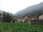 田园风光