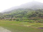 田园风光