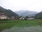 田园风光