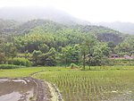 田园风光