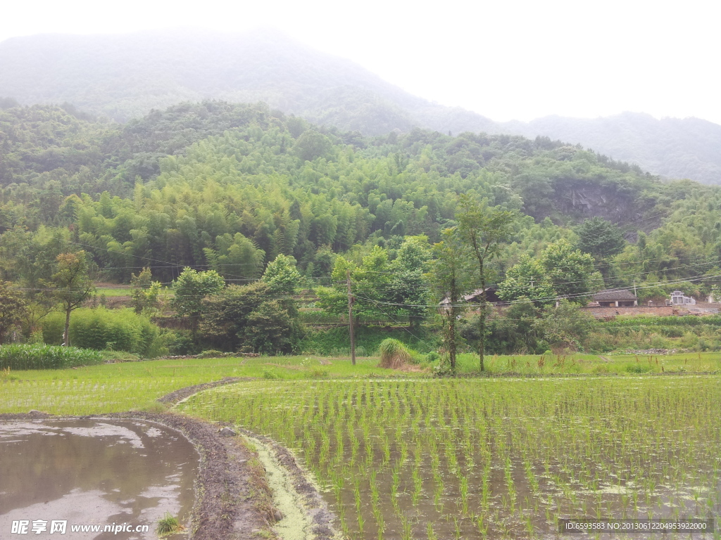 田园风光