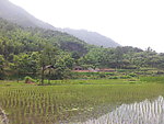 田园风光