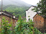 田园风光