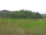 山间风光
