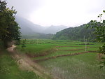 田园风光