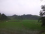 田园风光
