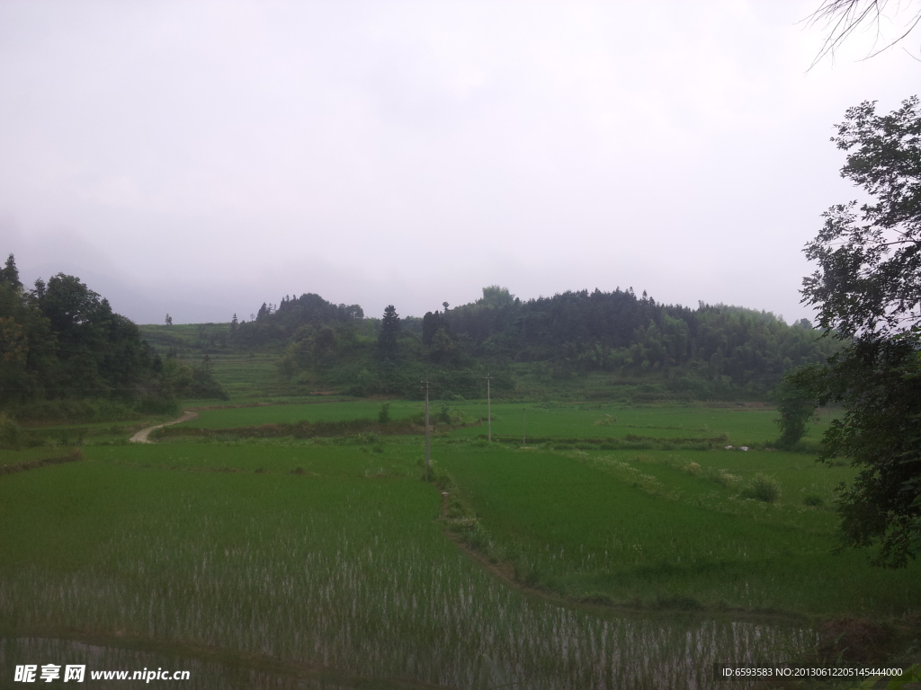 田园风光