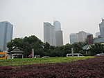 上海市区景观