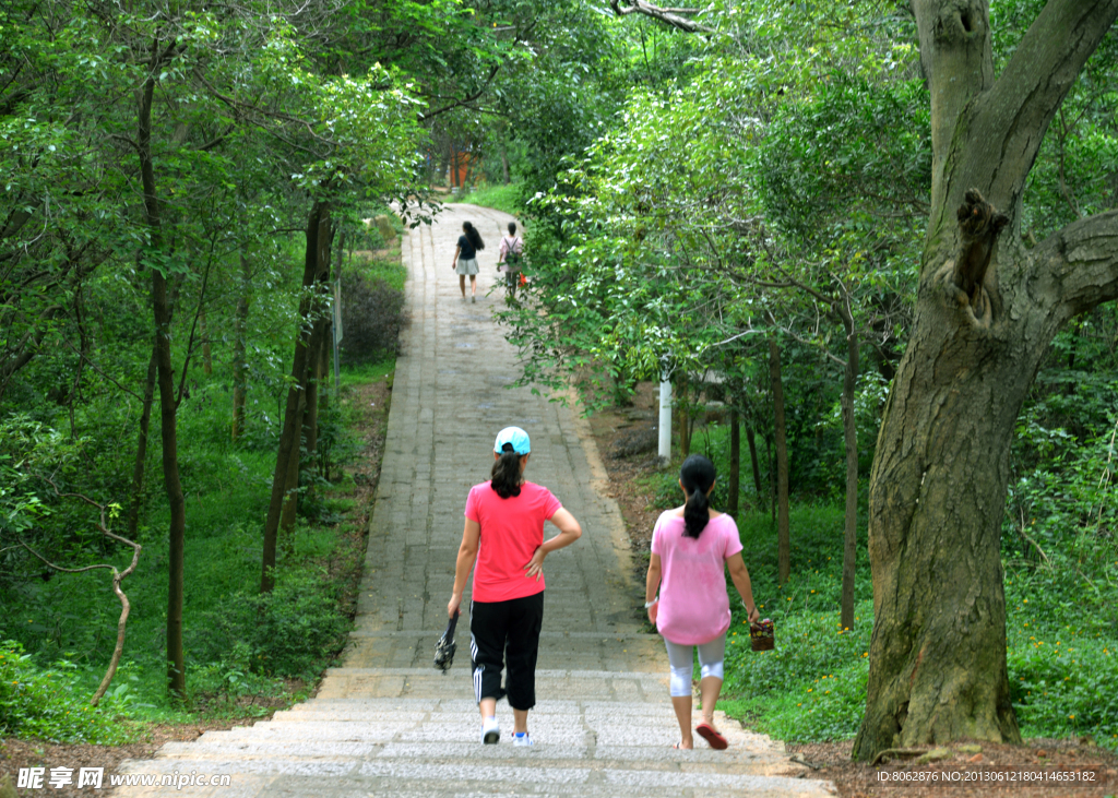 仙岳林荫道