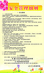 安全管理细则