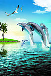 海洋生物