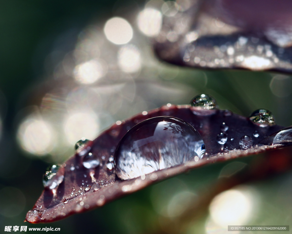 水珠