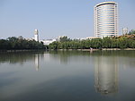 公园 高楼