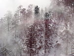 峨眉山雪景