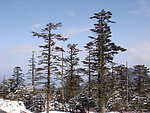 峨眉山雪景