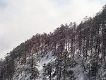 峨眉山雪景