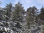 峨眉山雪景