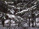 峨眉山雪景