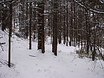 峨眉山雪景