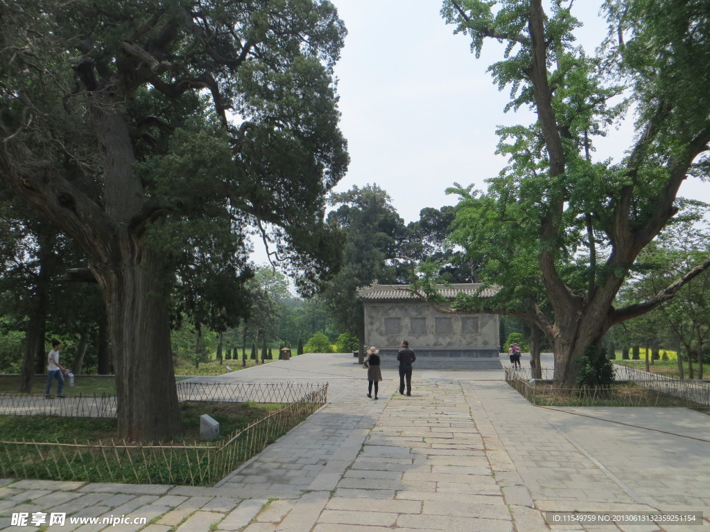 会善寺风景