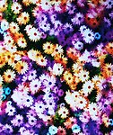 金昌印花