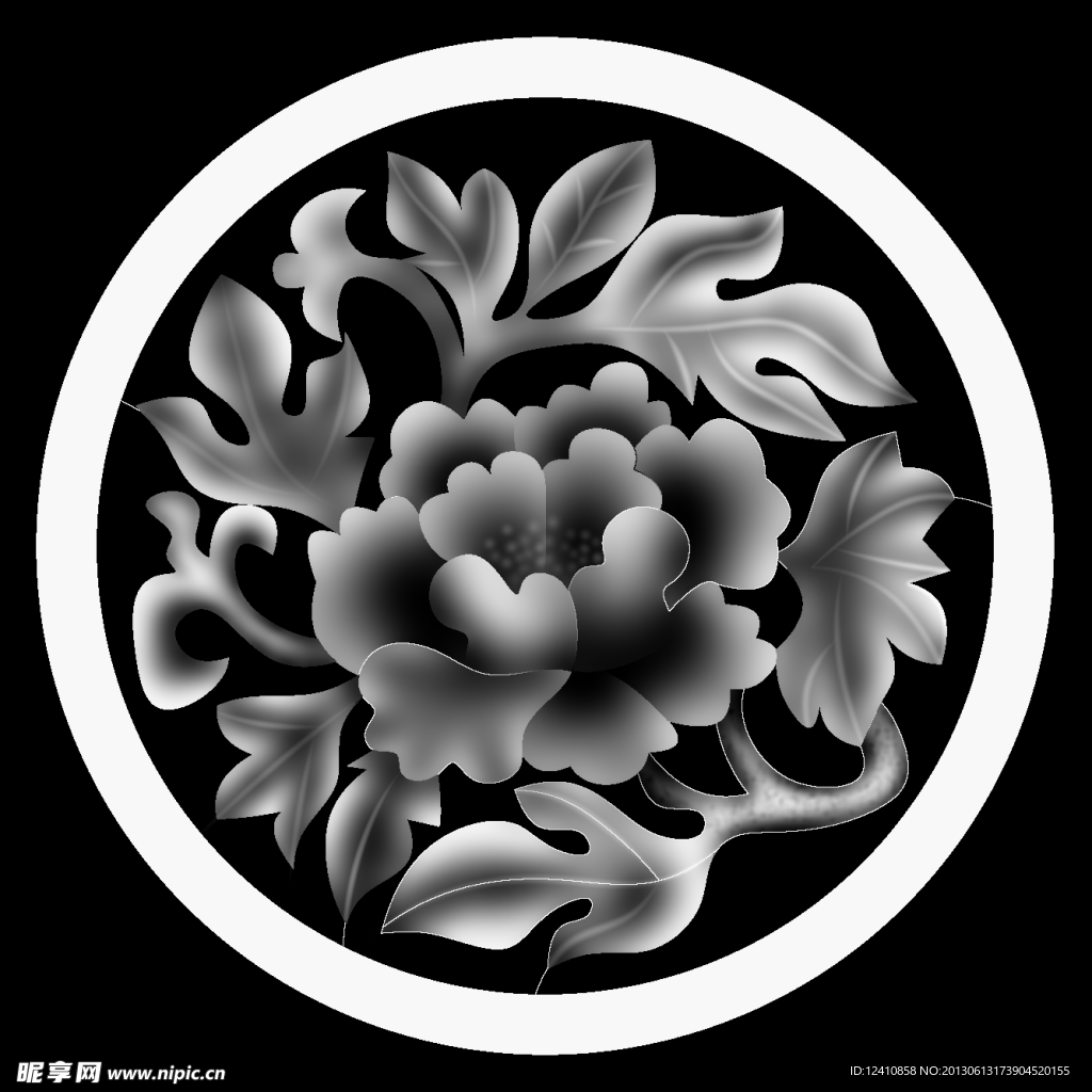 牡丹花